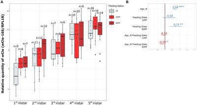 Development, feeding, and sex shape the relative quantity of the nutritional obligatory symbiont Wolbachia in bed bugs